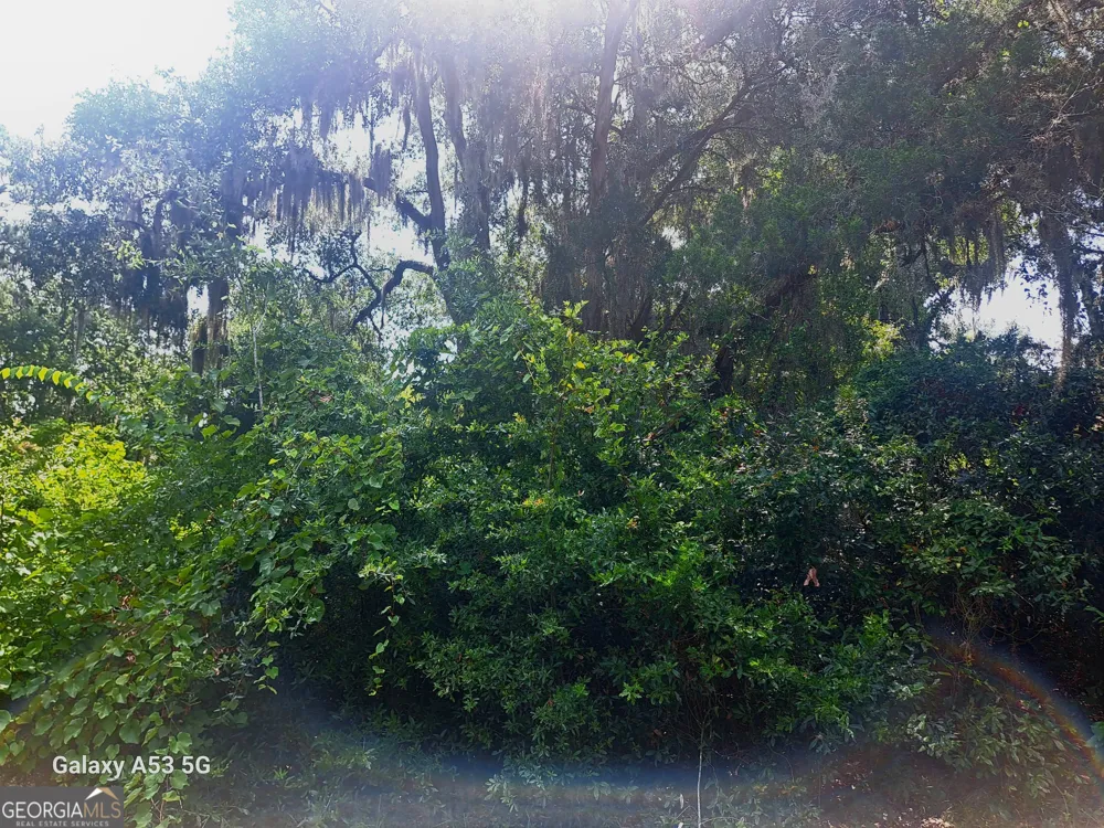706 Ready ST St. Marys, GA 31558