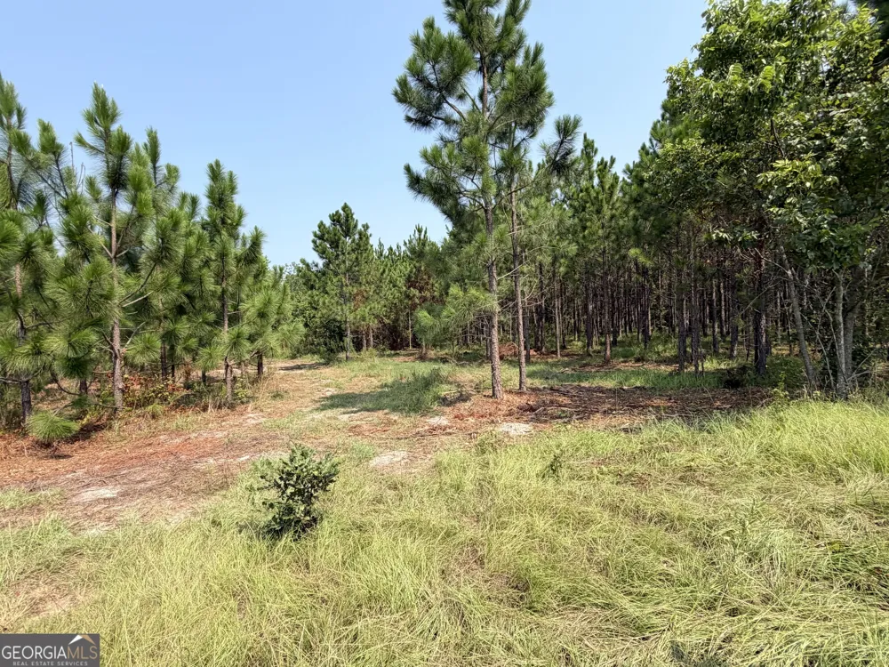 0 Erick RD Alamo, GA 30411