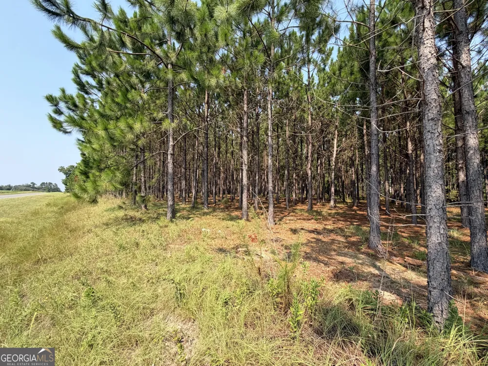 0 Erick RD Alamo, GA 30411