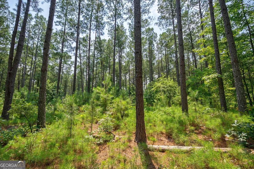 0 Jabez Poyner RD Carlton, GA 30627