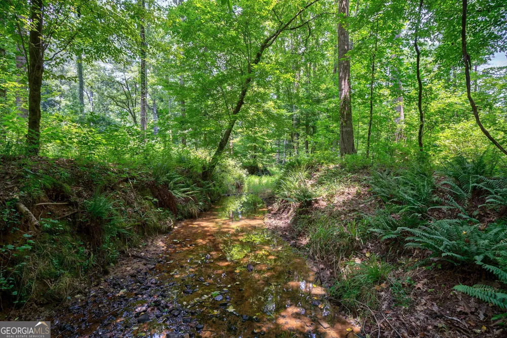 0 Jabez Poyner RD Carlton, GA 30627