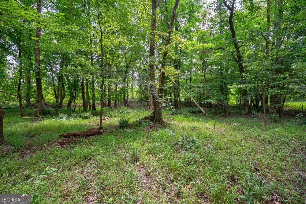 0 Jabez Poyner RD Carlton, GA 30627