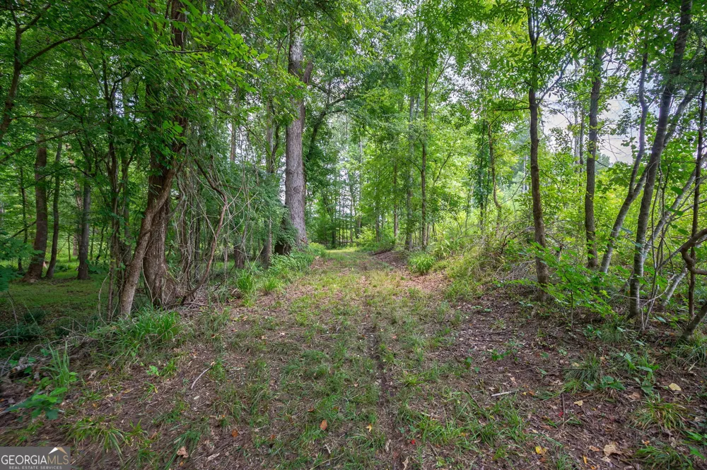 0 Jabez Poyner RD Carlton, GA 30627