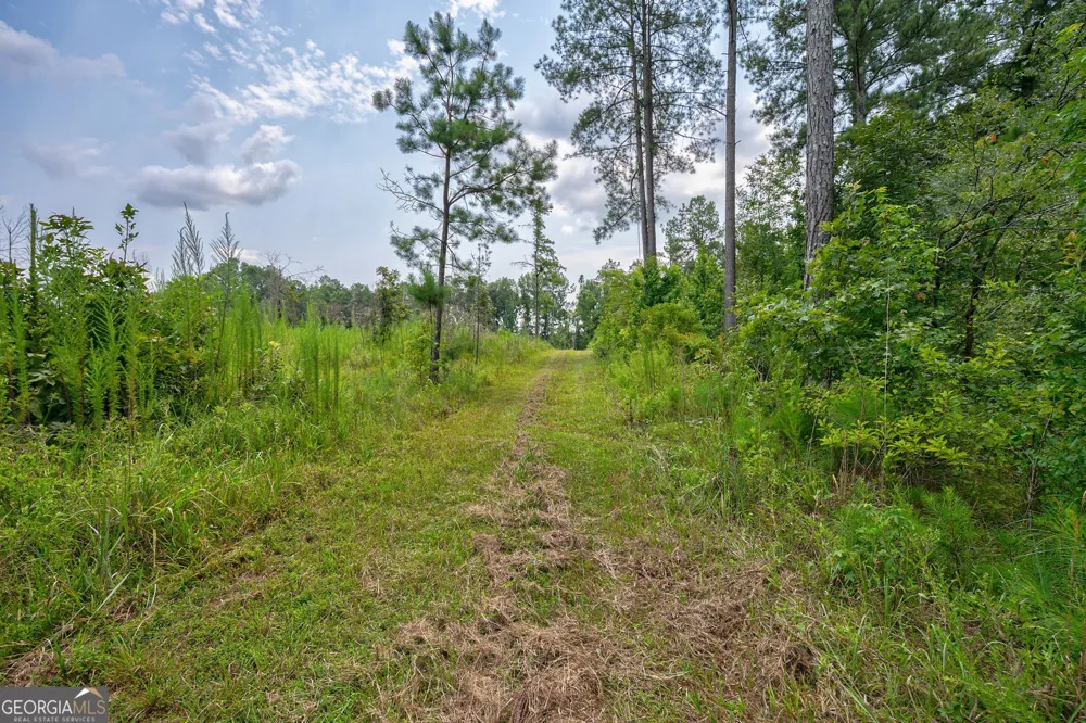 0 Jabez Poyner RD Carlton, GA 30627