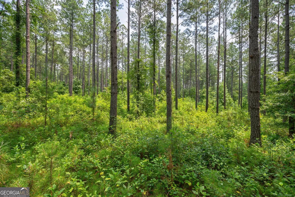 0 Jabez Poyner RD Carlton, GA 30627