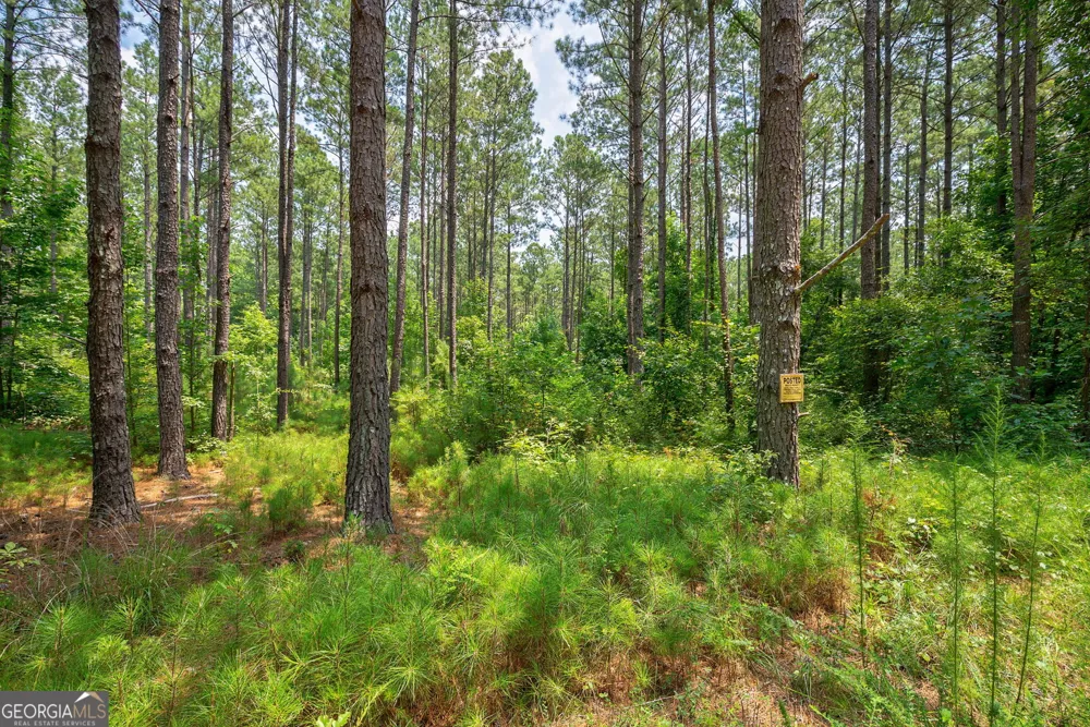 0 Jabez Poyner RD Carlton, GA 30627