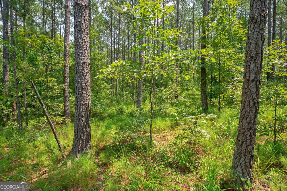0 Jabez Poyner RD Carlton, GA 30627