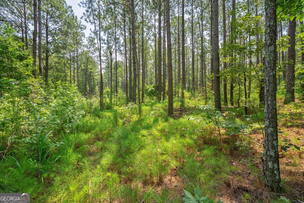 0 Jabez Poyner RD Carlton, GA 30627