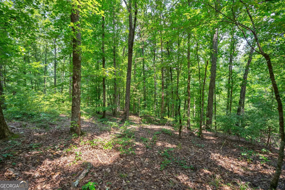 0 Jabez Poyner RD Carlton, GA 30627