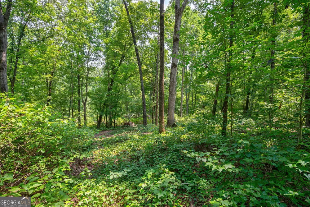 0 Jabez Poyner RD Carlton, GA 30627