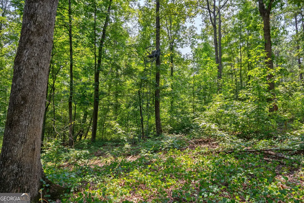 0 Jabez Poyner RD Carlton, GA 30627