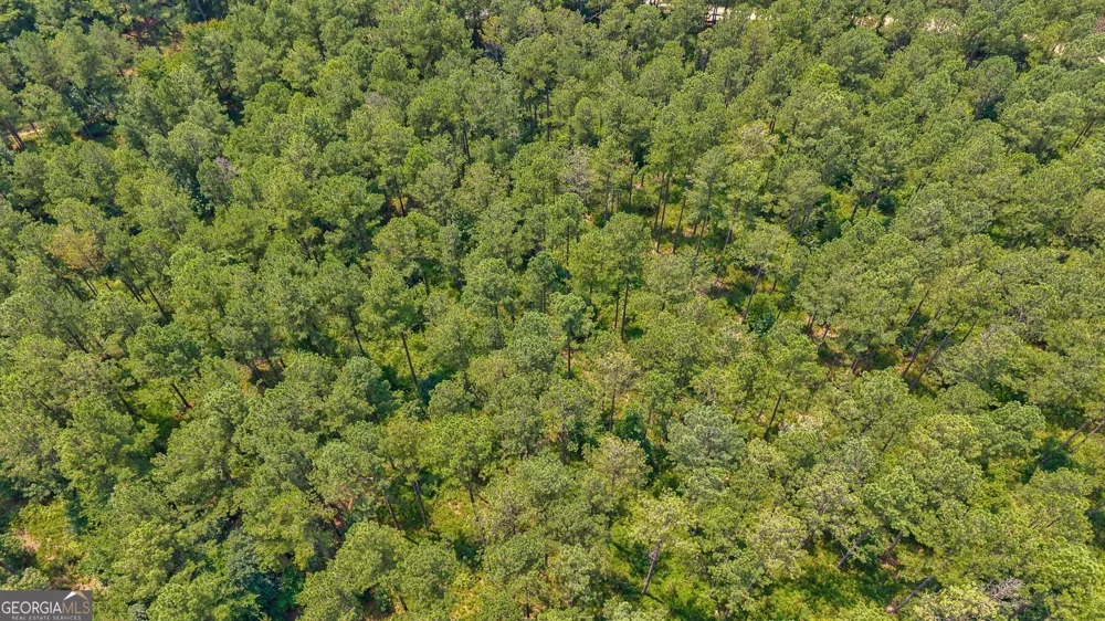 0 Jabez Poyner RD Carlton, GA 30627