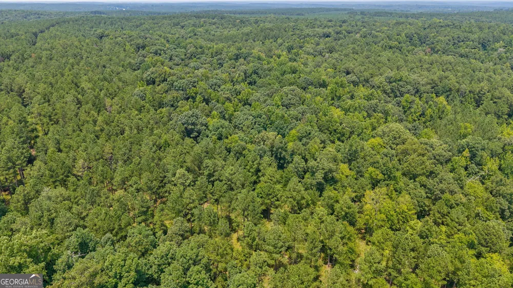 0 Jabez Poyner RD Carlton, GA 30627
