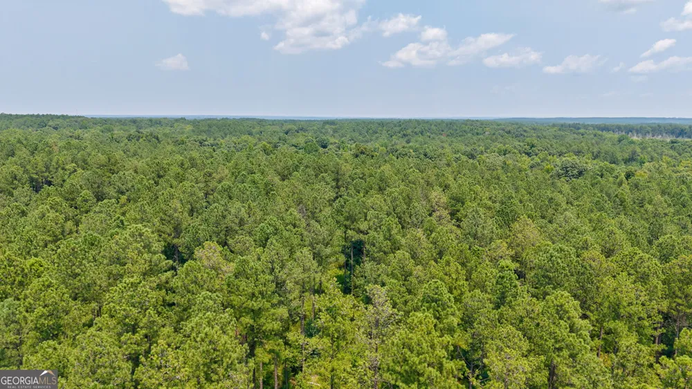 0 Jabez Poyner RD Carlton, GA 30627