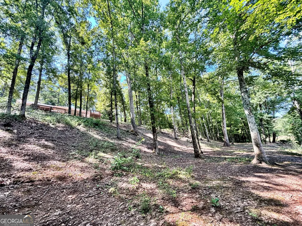8502 S 19 HWY Culloden, GA 31016