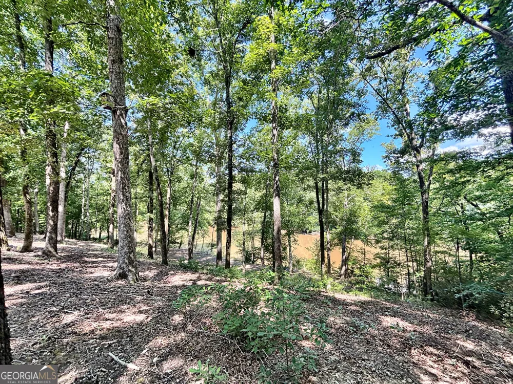 8502 S 19 HWY Culloden, GA 31016
