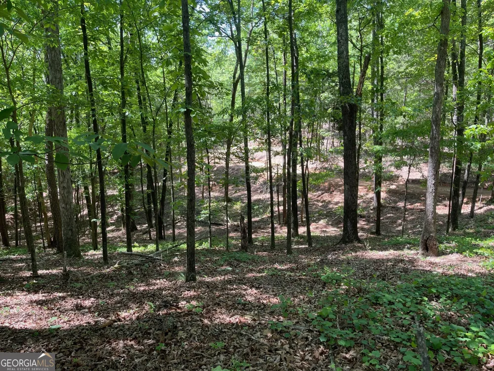 TRACT 3 CHALCREST WAY Cave Spring, GA 30124