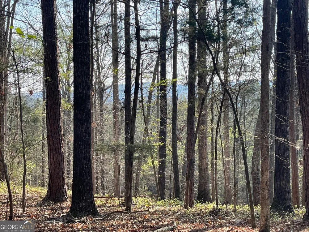 TRACT 3 CHALCREST WAY Cave Spring, GA 30124
