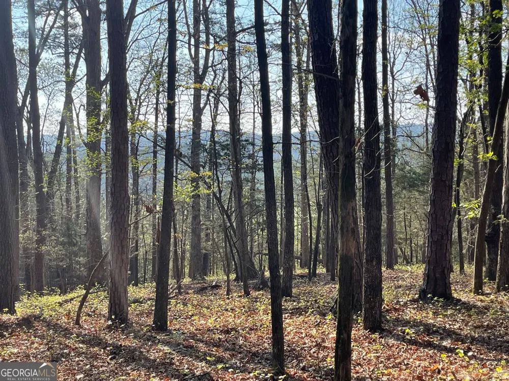 TRACT 3 CHALCREST WAY Cave Spring, GA 30124