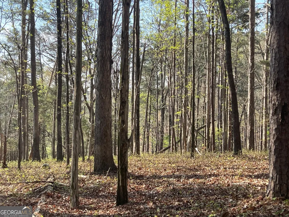 TRACT 3 CHALCREST WAY Cave Spring, GA 30124