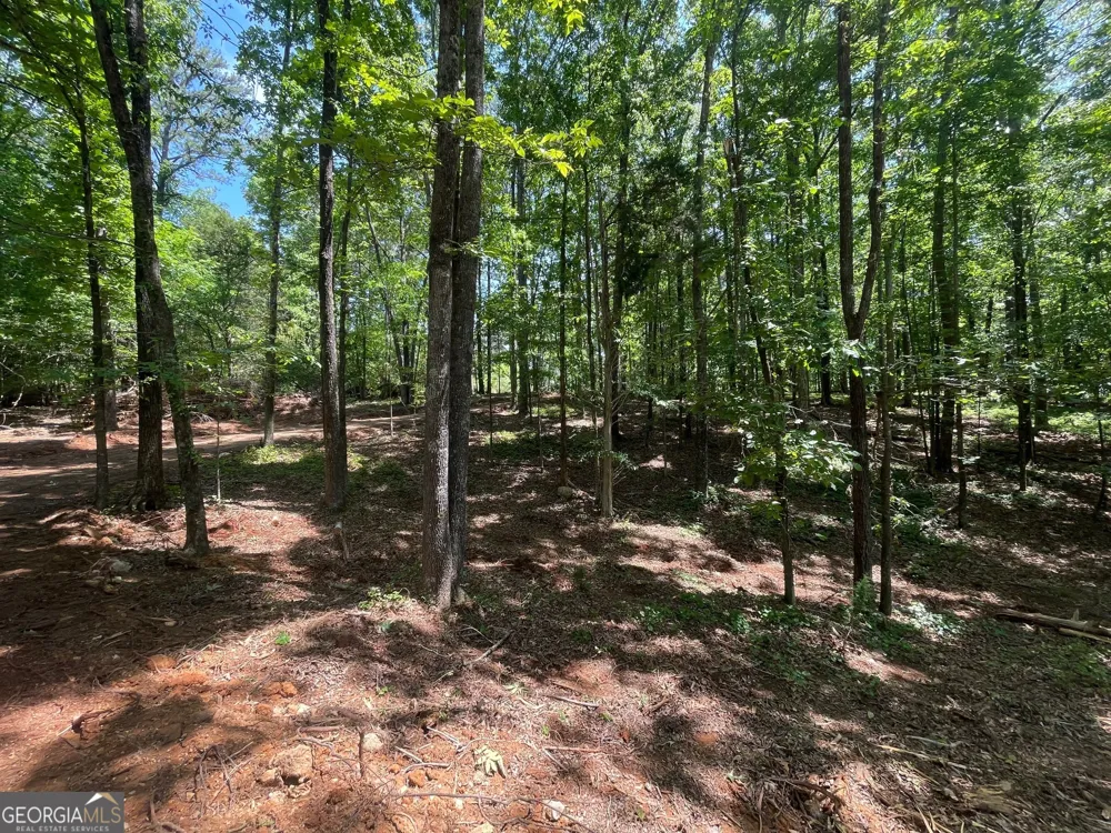TRACT 3 CHALCREST WAY Cave Spring, GA 30124