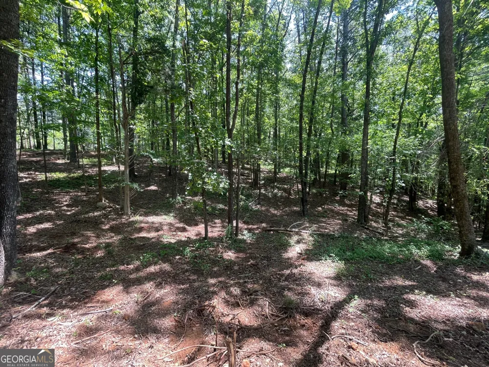 TRACT 3 CHALCREST WAY Cave Spring, GA 30124
