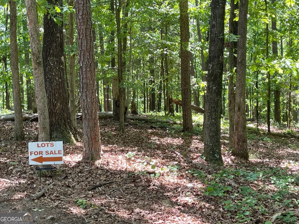 TRACT 3 CHALCREST WAY Cave Spring, GA 30124