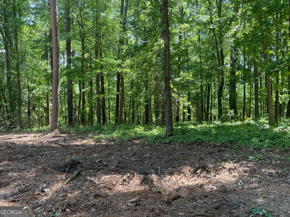 TRACT 3 CHALCREST WAY Cave Spring, GA 30124