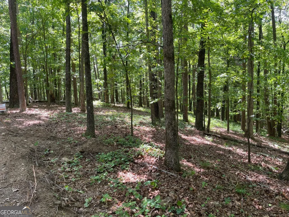 TRACT 3 CHALCREST WAY Cave Spring, GA 30124