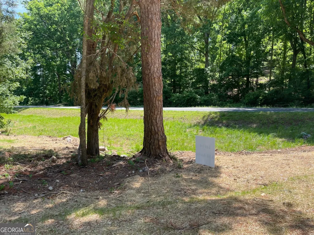 TRACT 3 CHALCREST WAY Cave Spring, GA 30124