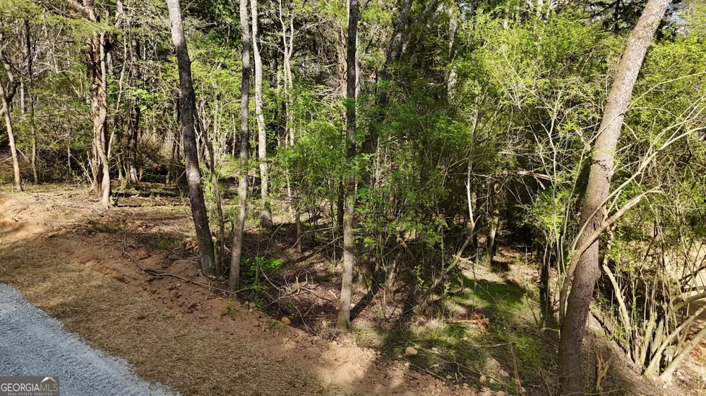 TRACT 3 CHALCREST WAY Cave Spring, GA 30124