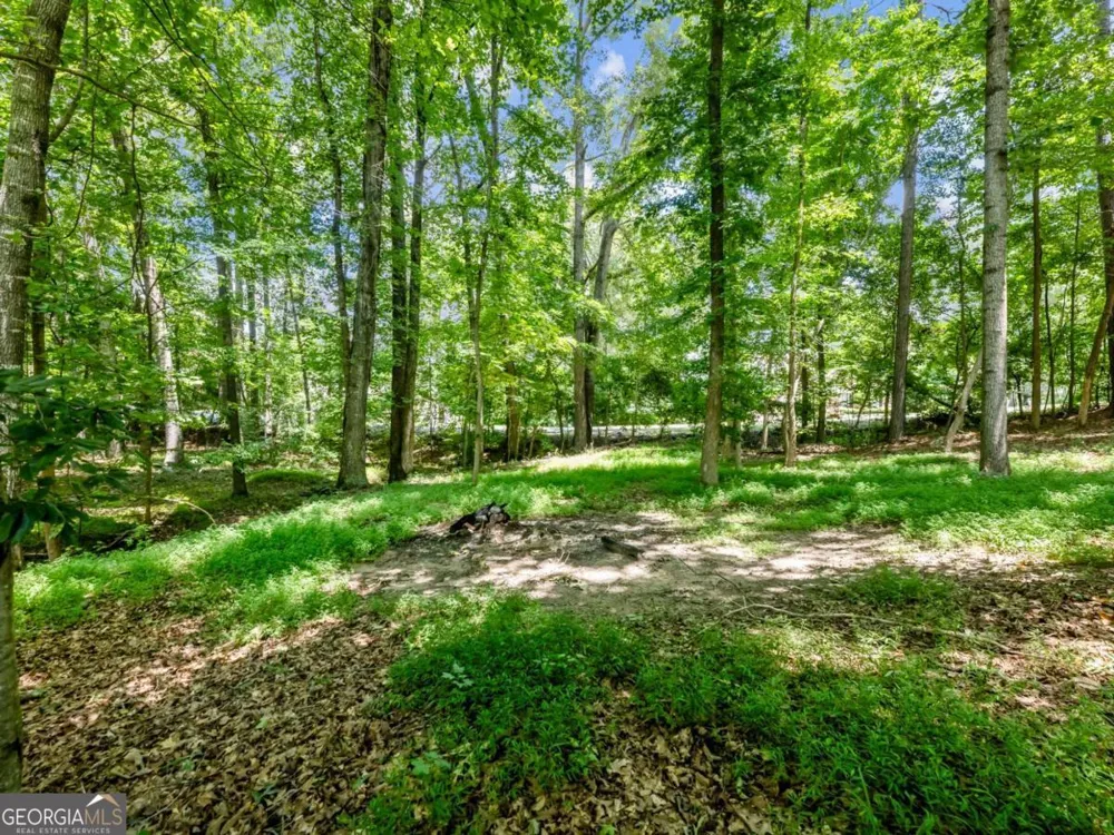 1925 Gene Sarazen WAY Braselton, GA 30517