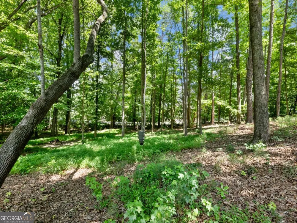 1925 Gene Sarazen WAY Braselton, GA 30517