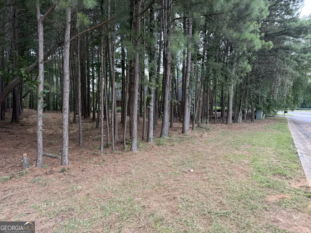4210 Mundy Mill PL Oakwood, GA 30566