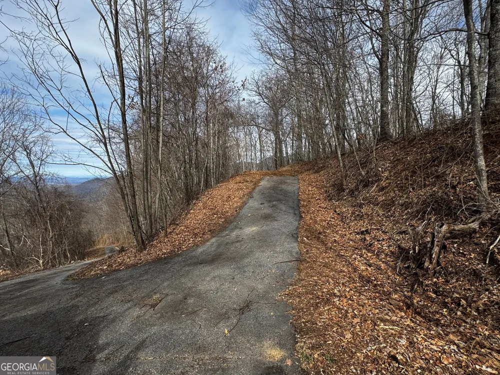 20 ACRES Burnt Leaf Lane Hayesville, NC 28904