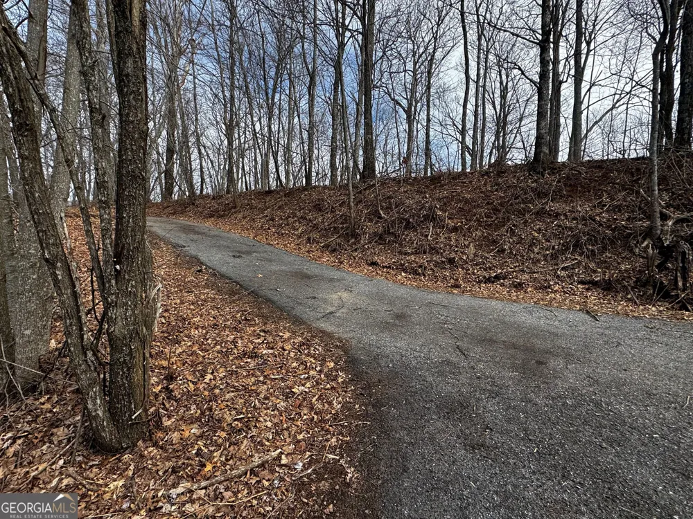 20 ACRES Burnt Leaf Lane Hayesville, NC 28904