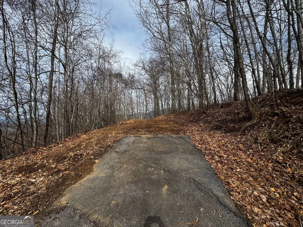 20 ACRES Burnt Leaf Lane Hayesville, NC 28904