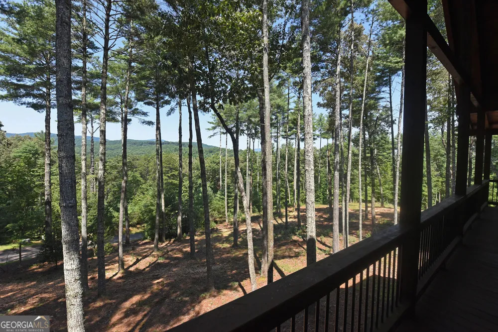 121 Noontootla TRL Blue Ridge, GA 30513