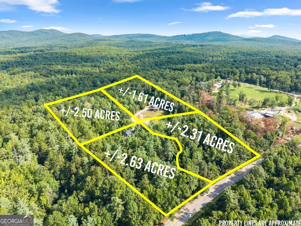 4061,4063,4065,4067 Historic Old Highway 441 Clarkesville, GA 30523