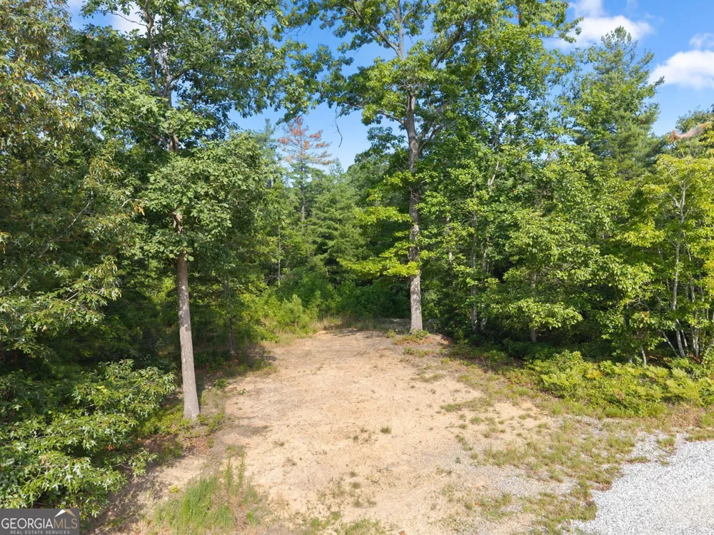 4061,4063,4065,4067 Historic Old Highway 441 Clarkesville, GA 30523