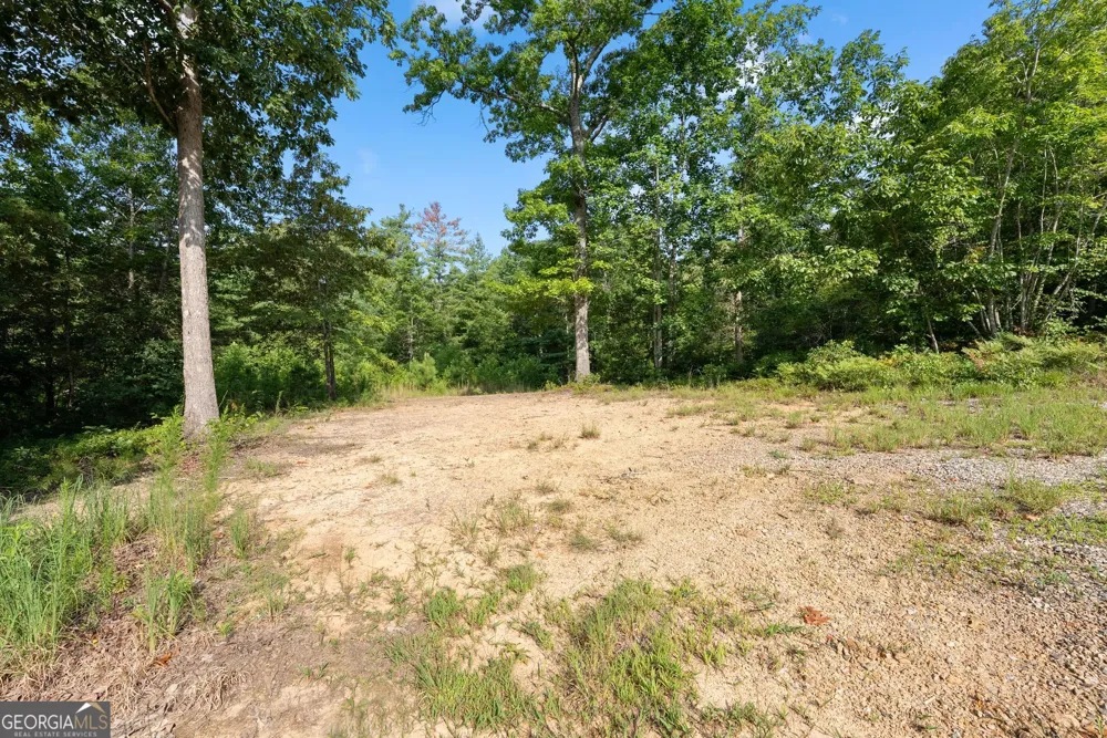 4061,4063,4065,4067 Historic Old Highway 441 Clarkesville, GA 30523