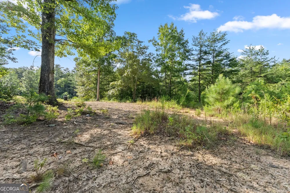 4061,4063,4065,4067 Historic Old Highway 441 Clarkesville, GA 30523