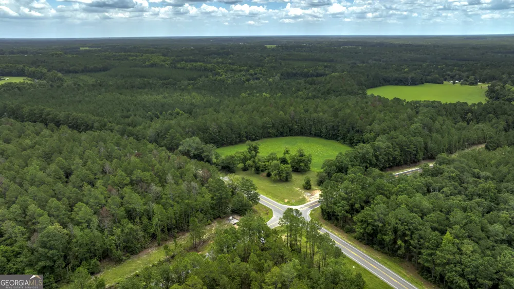 0 GA Highway 169 Claxton, GA 30417