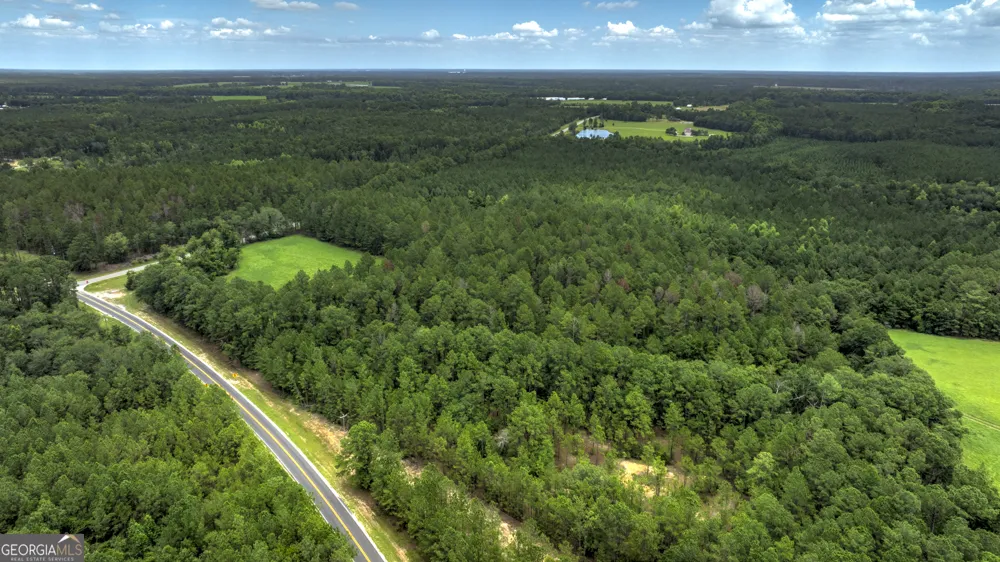 0 GA Highway 169 Claxton, GA 30417