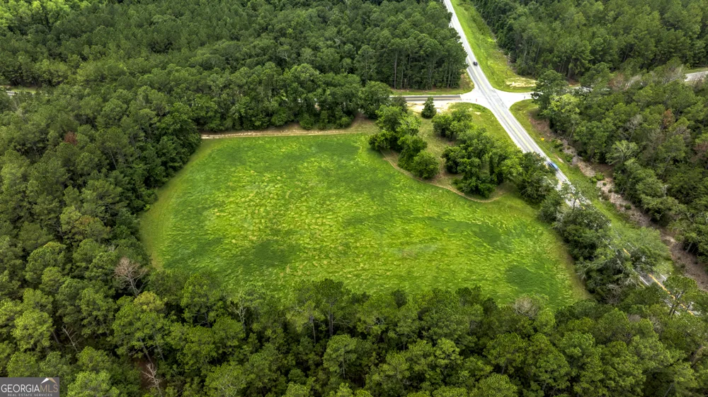 0 GA Highway 169 Claxton, GA 30417