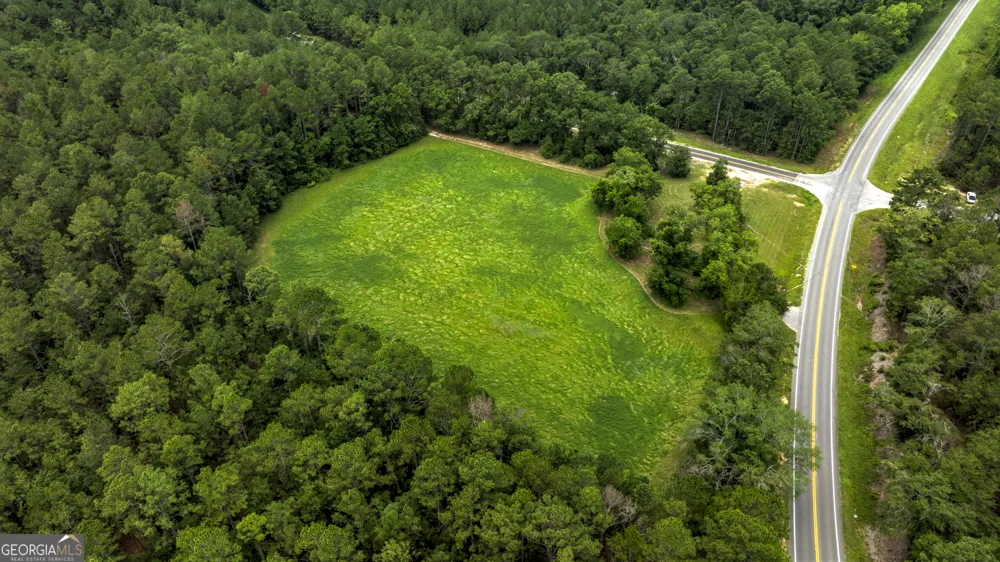 0 GA Highway 169 Claxton, GA 30417