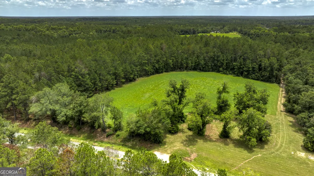 0 GA Highway 169 Claxton, GA 30417