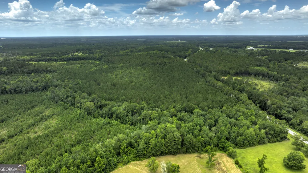 0 GA Highway 169 Claxton, GA 30417