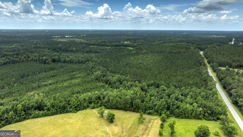 0 GA Highway 169 Claxton, GA 30417
