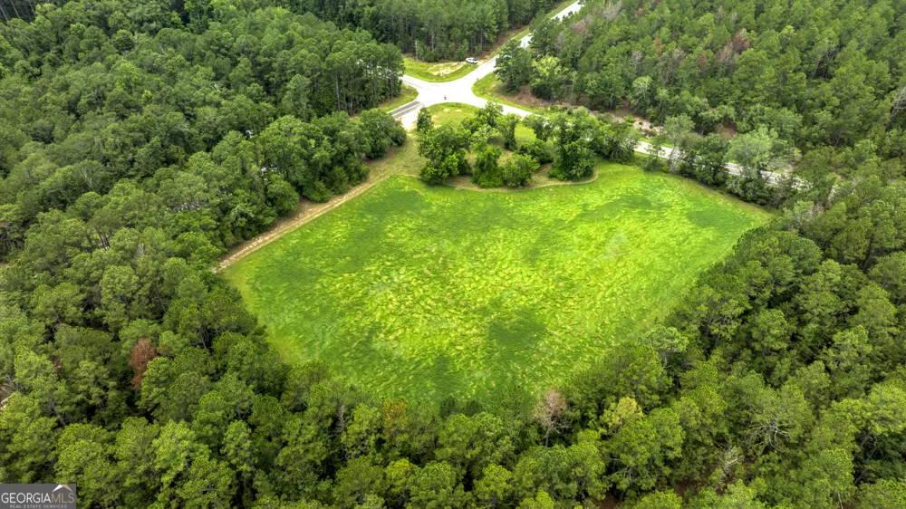 0 GA Highway 169 Claxton, GA 30417